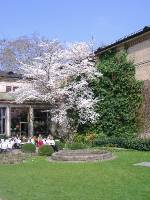 Fruehling in Baden Baden (13) 